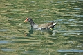 2000 01 01_6873_edited-1